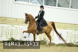 24R13_15633 thumbnail