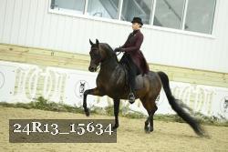 24R13_15634 thumbnail