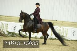 24R13_15635 thumbnail