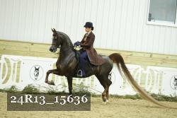 24R13_15636 thumbnail