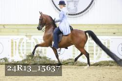 24R13_15637 thumbnail
