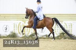 24R13_15638 thumbnail