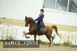 24R13_15639 thumbnail