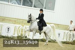 24R13_15640 thumbnail