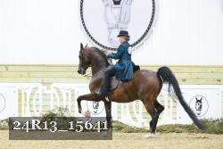 24R13_15641 thumbnail