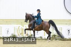 24R13_15642 thumbnail