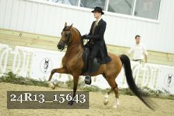 24R13_15643 thumbnail