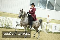 24R13_15644 thumbnail