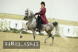 24R13_15645 thumbnail