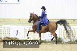 24R13_15646 thumbnail