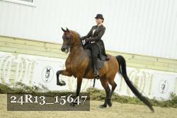 24R13_15647 thumbnail