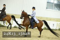 24R13_15648 thumbnail