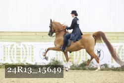 24R13_15649 thumbnail