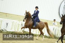 24R13_15650 thumbnail