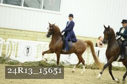 24R13_15651 thumbnail