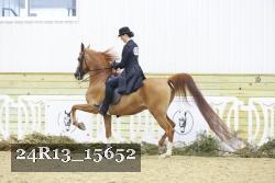 24R13_15652 thumbnail