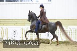 24R13_15653 thumbnail