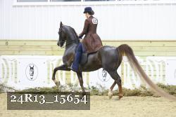 24R13_15654 thumbnail