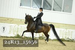 24R13_15656 thumbnail