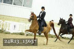 24R13_15657 thumbnail