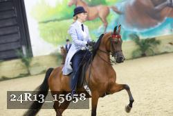 24R13_15658 thumbnail
