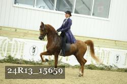 24R13_15659 thumbnail