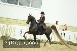 24R13_15660 thumbnail