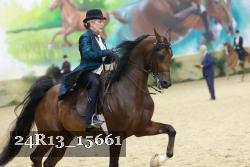 24R13_15661 thumbnail