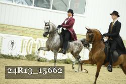 24R13_15662 thumbnail