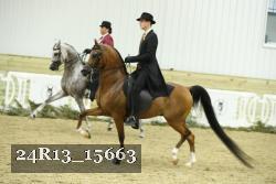 24R13_15663 thumbnail