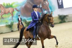 24R13_15664 thumbnail