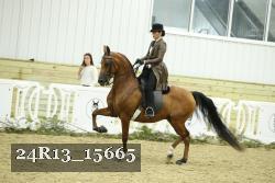 24R13_15665 thumbnail