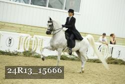 24R13_15666 thumbnail