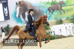 24R13_15667 thumbnail