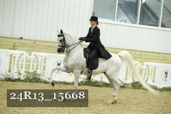 24R13_15668 thumbnail