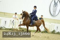 24R13_15669 thumbnail