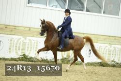 24R13_15670 thumbnail