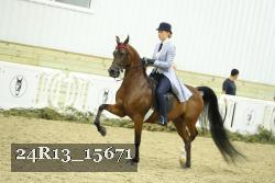 24R13_15671 thumbnail