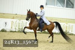 24R13_15672 thumbnail