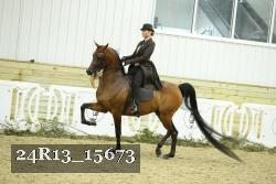 24R13_15673 thumbnail