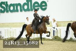 24R13_15682 thumbnail