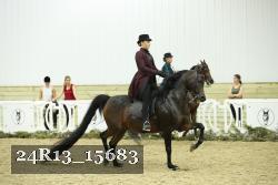 24R13_15683 thumbnail