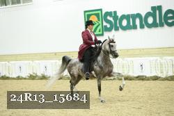 24R13_15684 thumbnail