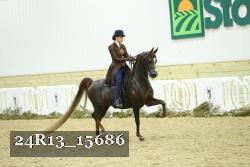 24R13_15686 thumbnail