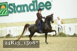 24R13_15687 thumbnail