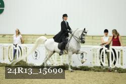24R13_15690 thumbnail