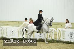 24R13_15691 thumbnail