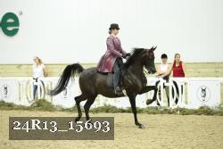 24R13_15693 thumbnail