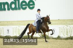 24R13_15694 thumbnail