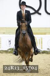 24R13_15704 thumbnail